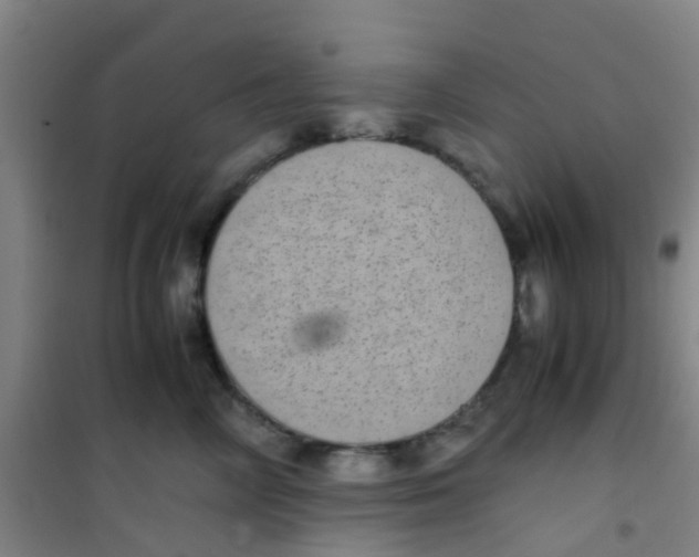 X0000100420714200807032101