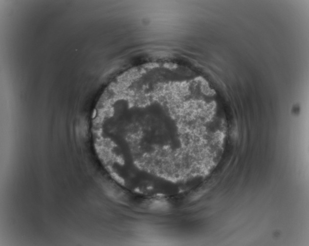 X0000100420715200807032101