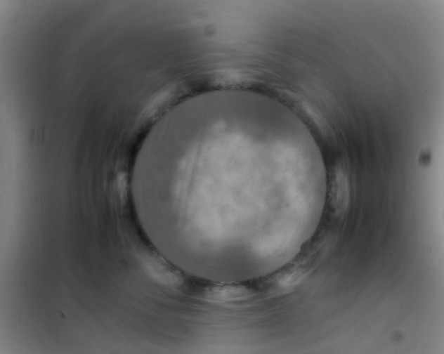 X0000100420716200807032101