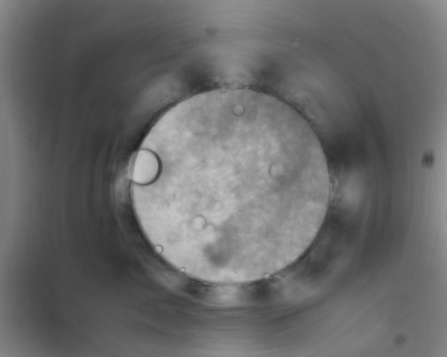 X0000100420717200807032101