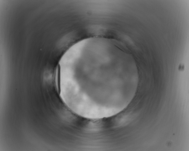 X0000100420720200807032101