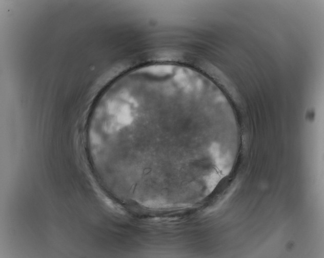 X0000100420721200807032100