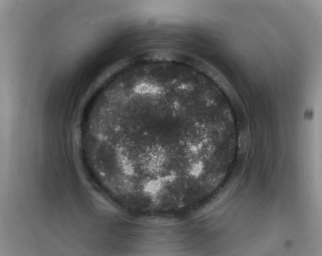 X0000100420722200807032100