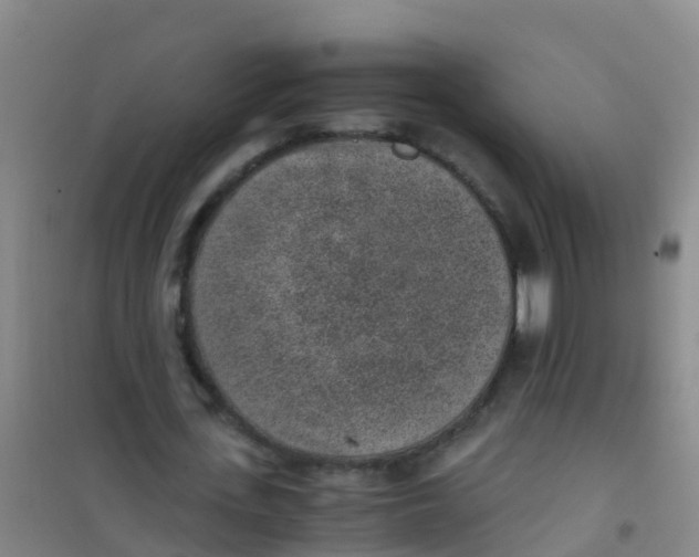 X0000100420723200807032100