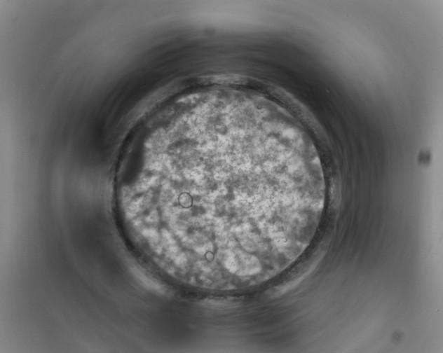 X0000100420725200807032100