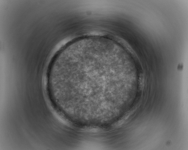 X0000100420726200807032100