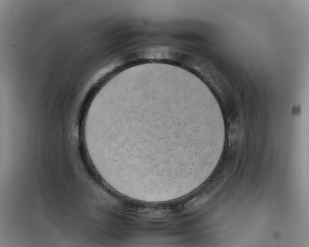 X0000100420727200807032100