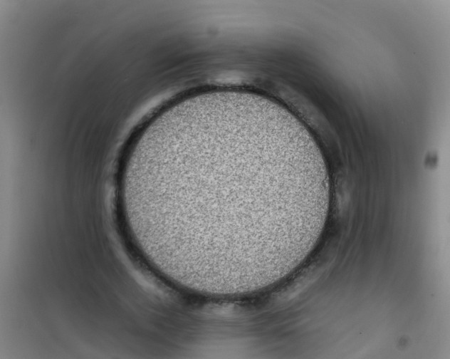 X0000100420728200807032100