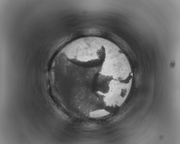 X0000100420729200807032100