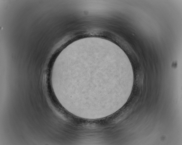 X0000100420730200807032100