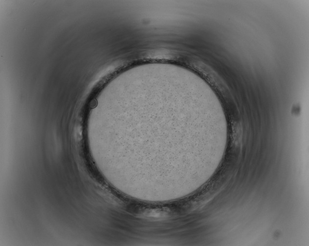 X0000100420731200807032100