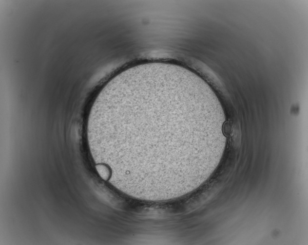 X0000100420732200807032100