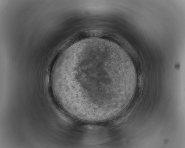 X0000100420733200807032100