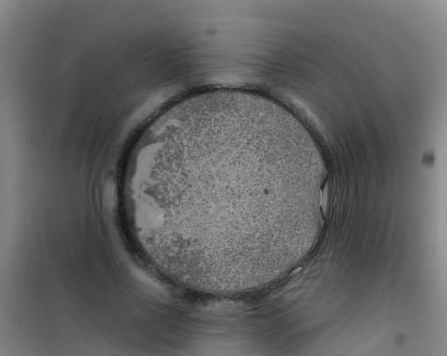 X0000100420734200807032100