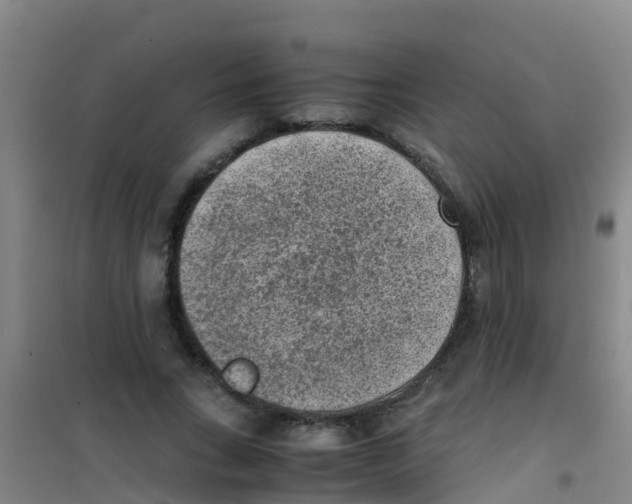 X0000100420735200807032100