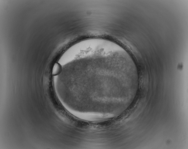 X0000100420736200807032100