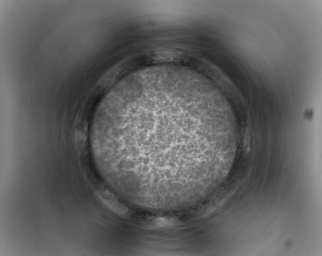 X0000100420737200807032100