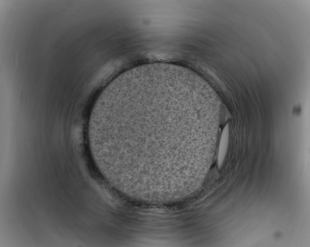 X0000100420738200807032100