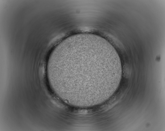 X0000100420740200807032100