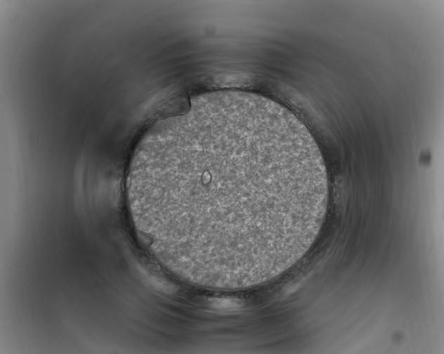 X0000100420741200807032100