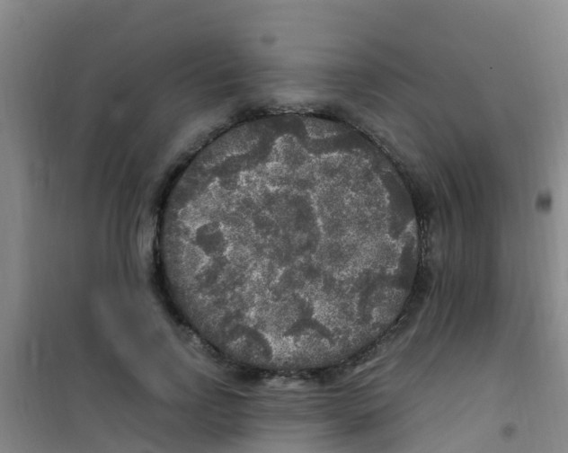 X0000100420742200807032100