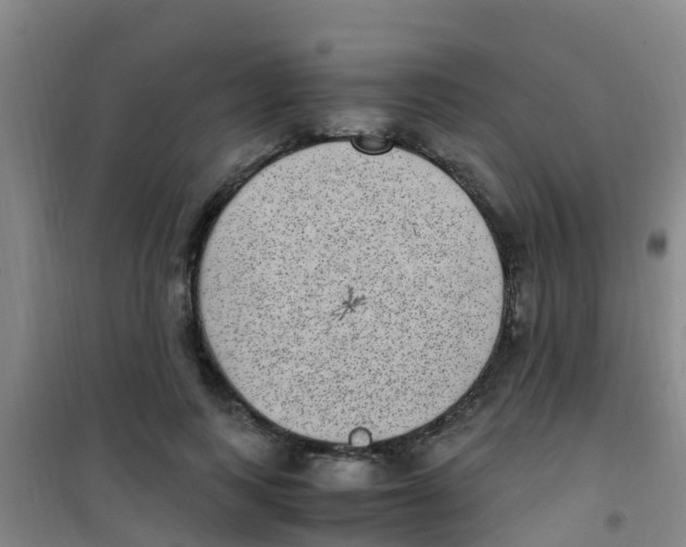 X0000100420743200807032100