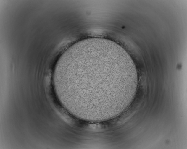 X0000100420744200807032100