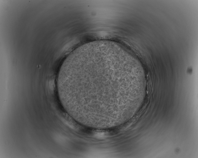 X0000100420746200807032100