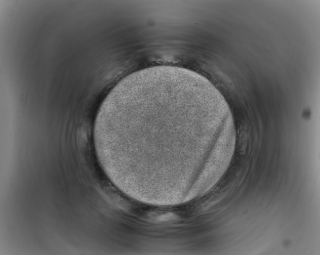 X0000100420747200807032100