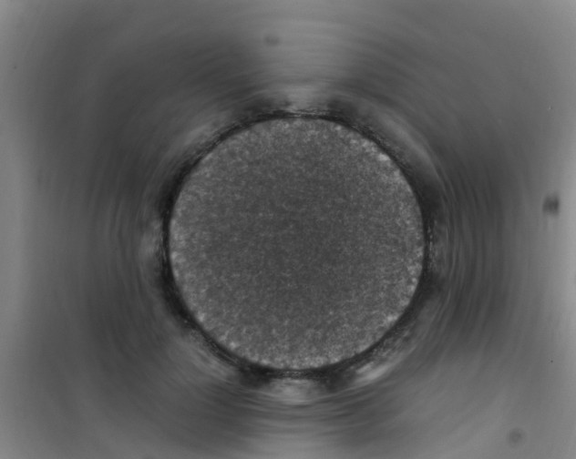 X0000100420748200807032100