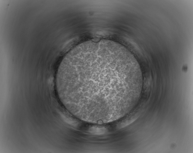 X0000100420749200807032100