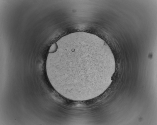 X0000100420750200807032100