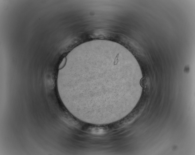 X0000100420751200807032100