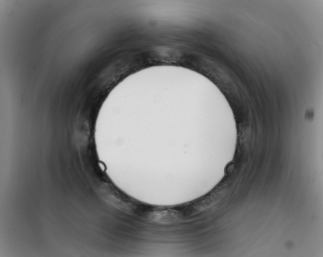 X0000100420752200807032100