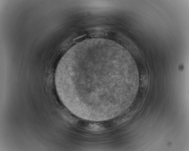 X0000100420753200807032100