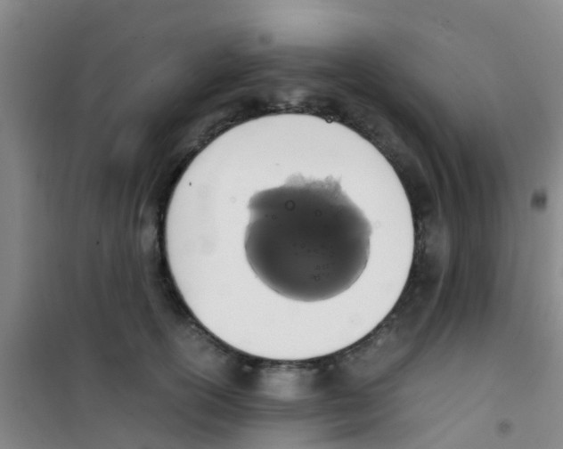 X0000100420754200807032100