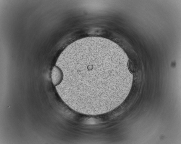 X0000100420755200807032100