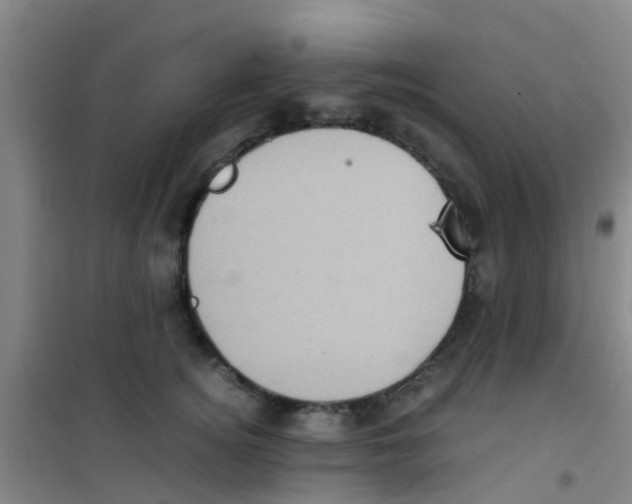 X0000100420756200807032101