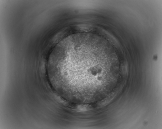 X0000100420757200807032101