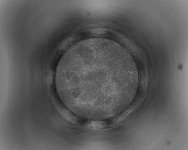 X0000100420758200807032101