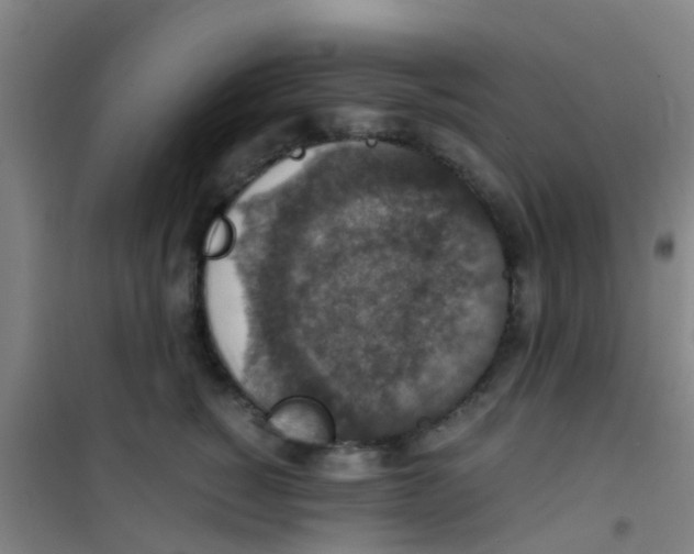 X0000100420760200807032101