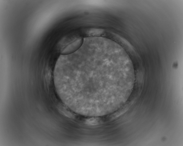 X0000100420761200807032101