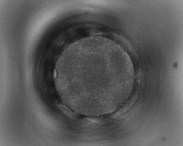 X0000100420763200807032101