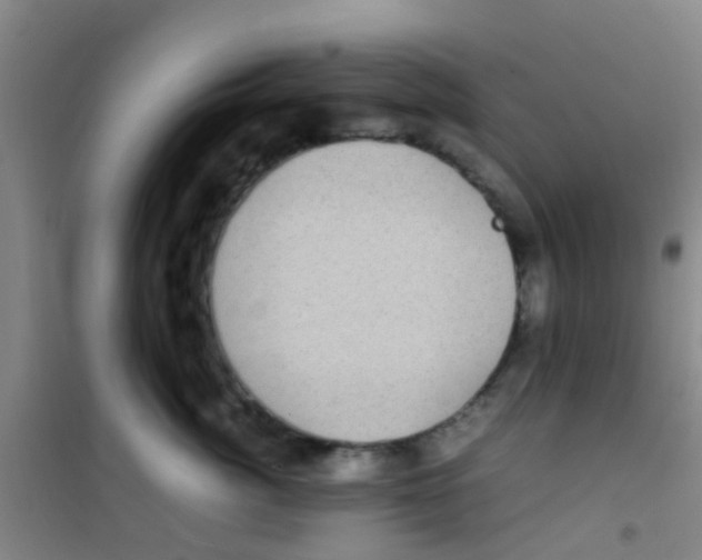 X0000100420764200807032101