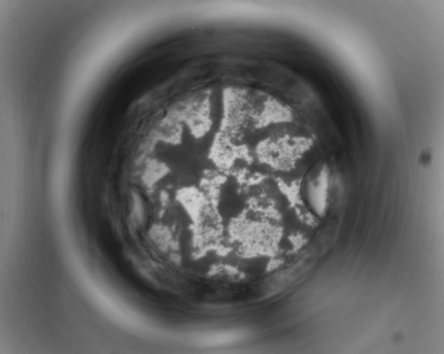 X0000100420765200807032101