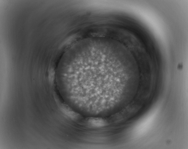 X0000100420767200807032101