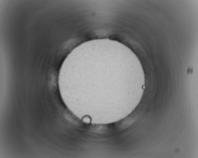 X0000100420768200807032101