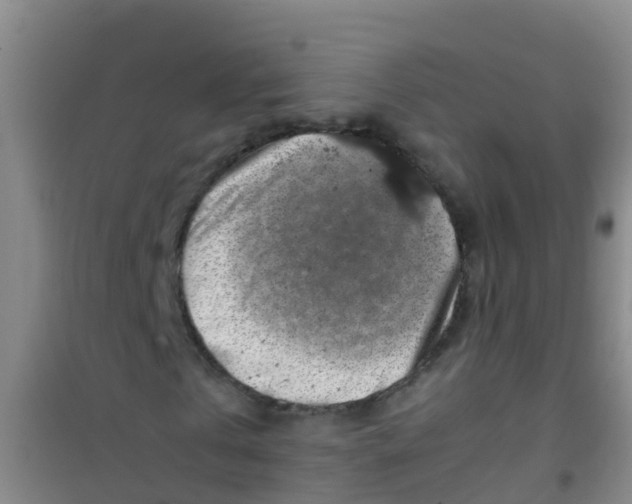 X0000100420769200807032100