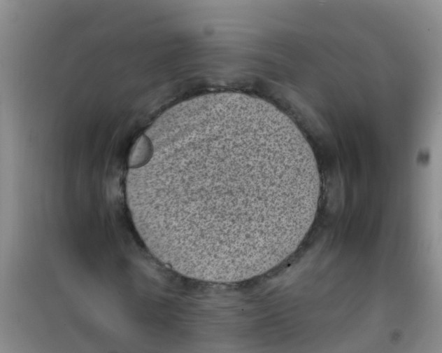 X0000100420770200807032100