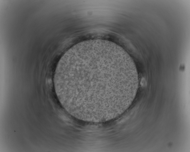 X0000100420771200807032100